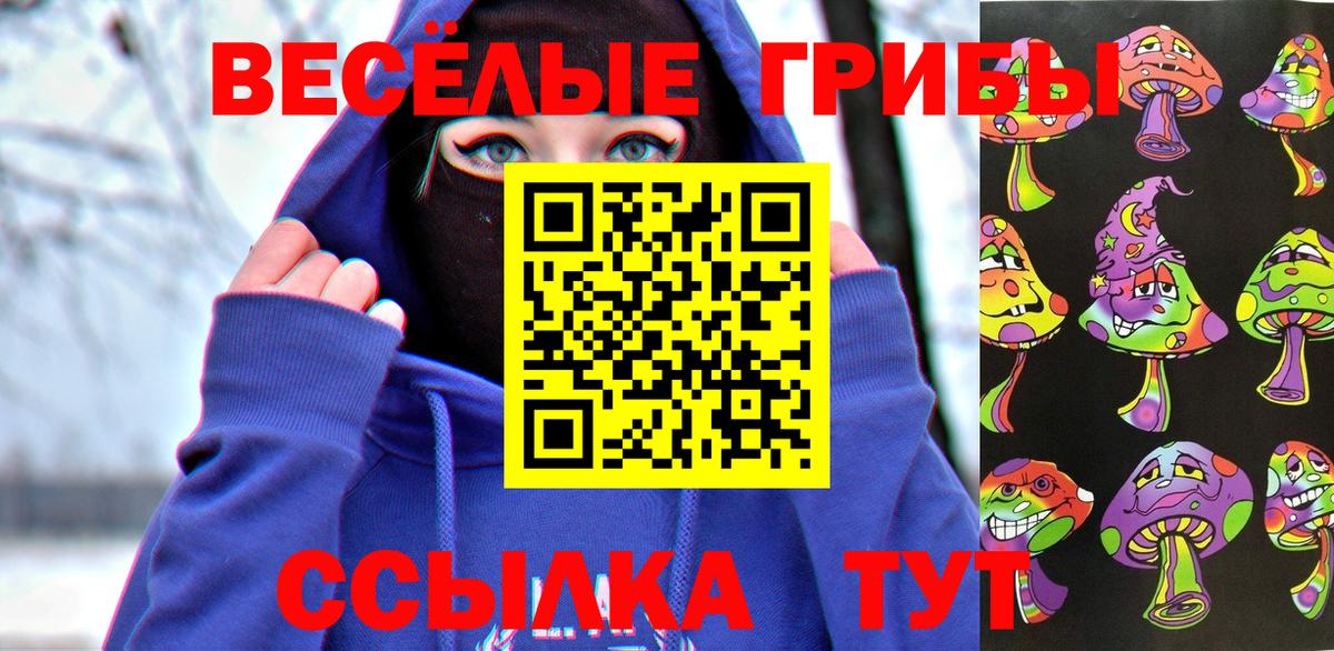 Псилоцибиновые грибы Cubensis Пугачёв